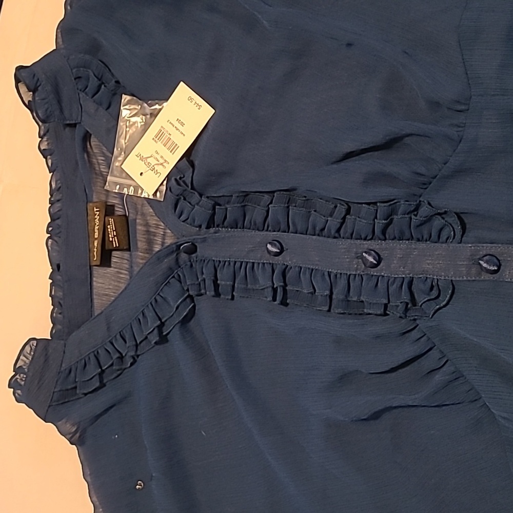 COPY - Sheer Blouse